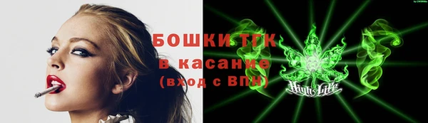 apvp Алексин