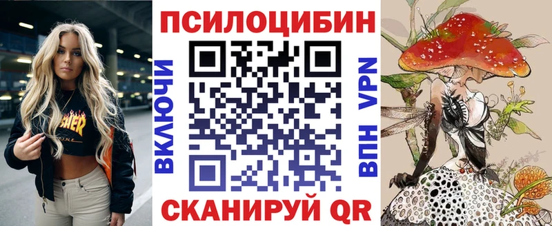 закладка  omg как войти  Псилоцибиновые грибы прущие грибы  Апатиты 